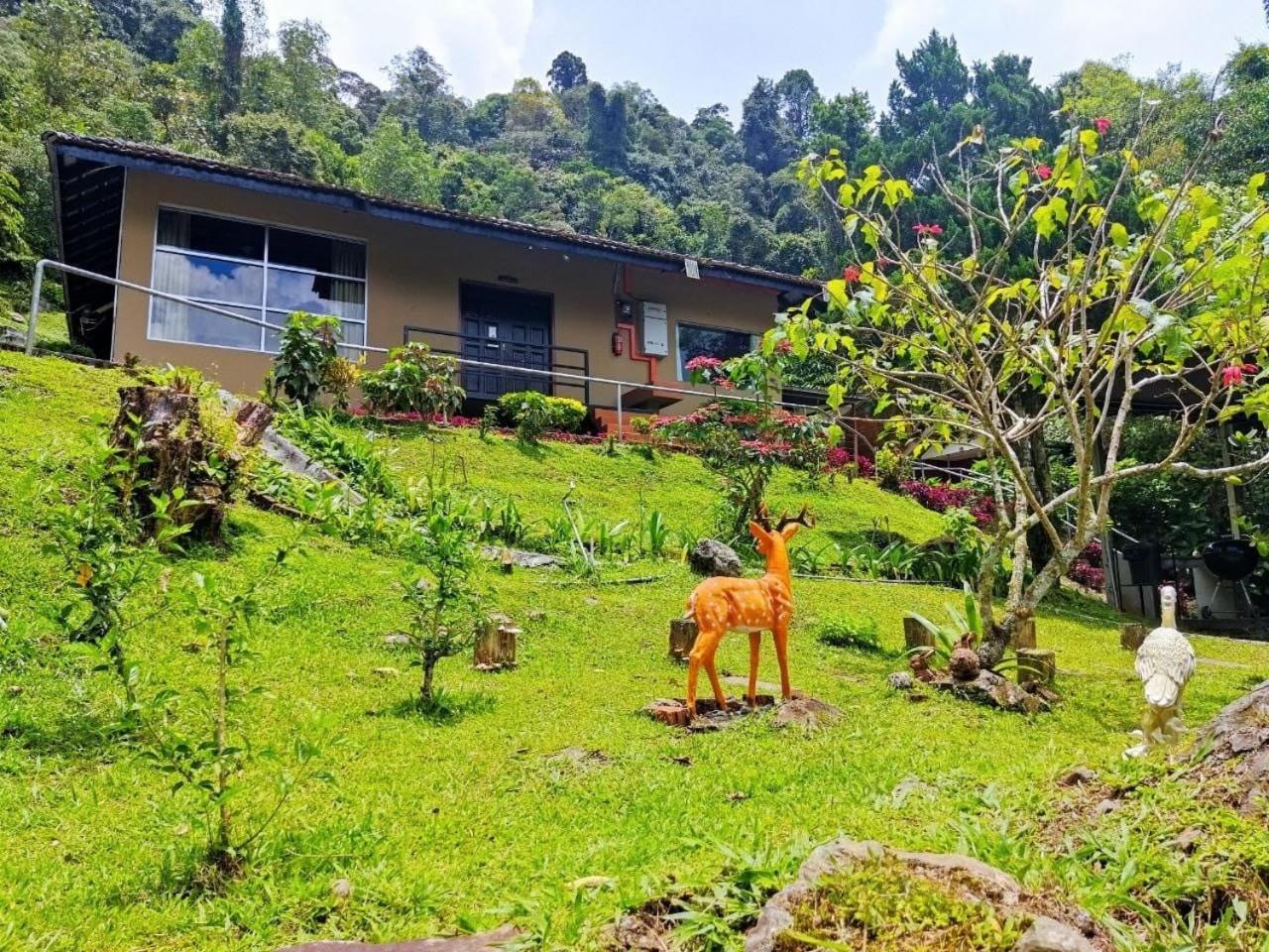 J Residence Kampong Kundassan Kültér fotó